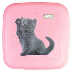 Ланч-бокс детский Maxi 850 мл (MX98138)