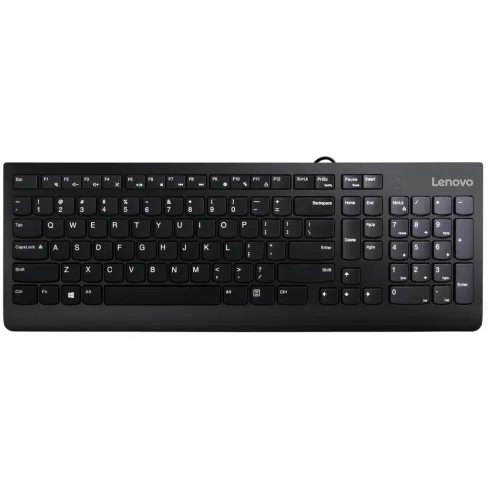 Клавіатура Lenovo 300 USB Ua Black (GY41D64869)