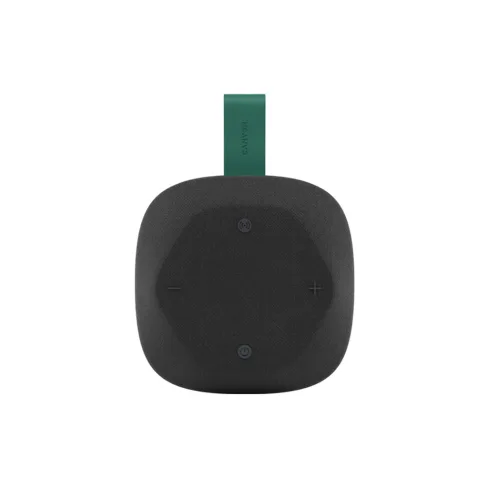 Акустична система Canyon HEXAGON 10 Black/Green (CNE-CBTSP10BG)