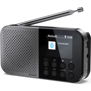 Портативный радиоприемник Sharp DR-P520 Grey (DR-P520GY)