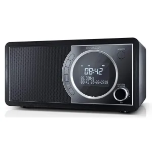 Портативный радиоприемник Sharp DR-450 Black (DR-450BK)