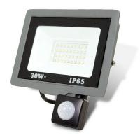 Прожектор ONE LED ultra 30 Вт с датчиком движения (254741)