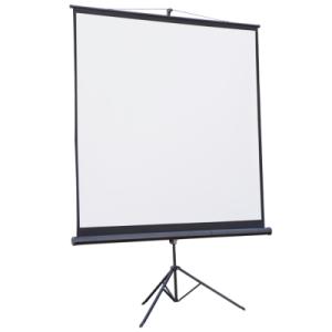 Проекційний екран Atria TRM-NTSC-60D