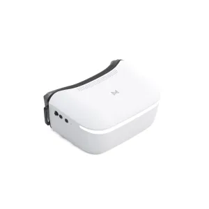 Очки FPV CADDXFPV Walksnail Avatar HD Goggles L (WN02-FP004)