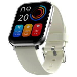 Смарт-часы HiFuture zone 2 silver (zone2.silver)