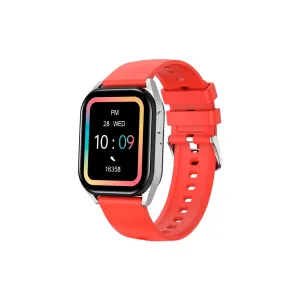 Смарт-часы Canyon Chatter SW-58 BT-CALL Silver Red (CNS-SW58RR)