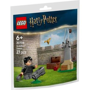 Конструктор LEGO Harry Potter Урок по квиддичу (30706)