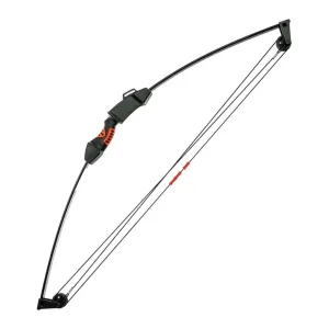 Лук Poe Lang Chameleon Youth Compound 10 LBS Black (CO-017B)