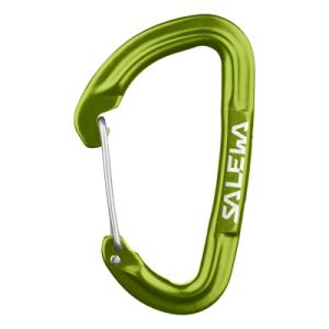 Карабін туристичний Salewa Hot G3 Wire 1723 5810 - UNI - зелений (013.003.1321)