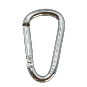 Карабін туристичний Tramp Набір 10 шт без муфти 6 cм Silver (UTRA-300-silver)