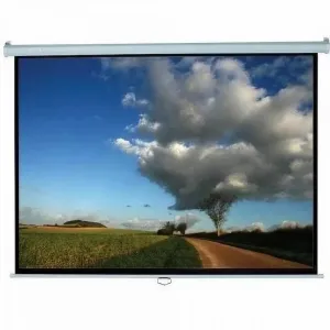 Проекционный экран M100XWH Elite Screens