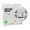 Светодиодная лента Eurolamp LED/ROLL-5m/6500K(480)(5) - изображение 1