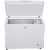 Морозильная камера Beko CF316W - изображение 4
