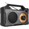 Портативный радиоприемник REAL-EL X-703 - изображение 1